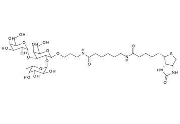Gal-a-1, 3(Fuc-a-1, 2)Gal-b-1-O(CH2)3NHCO(CH2)5NH-biotin; Btri-sp biot ; Blood Group B trisaccharide, spacer-biotin conjugate