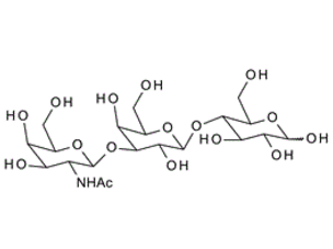 GalNAc-b-1, 3-Gal-b-1, 4-Glc; b-3'-GalNAc-lactose; b-3'-N-Acetylgalactosaminyllactose