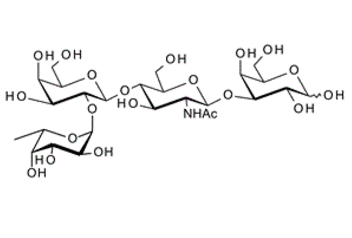 Fuca-2Galb-4GlcNAcb-3Gal ; Blood group H tetraose type II