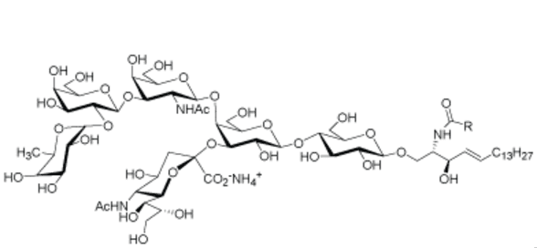 Fucosyl-GM1 ganglioside , Fucosylated monosialoganglioside GM1