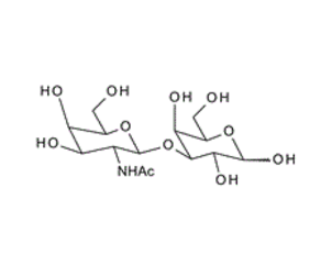 GalNAc-b1, 3-Gal; b-D-N-Acetylgalactosaminyl 1-3 galactose; 3-O-(2-Acetamido-2-deoxy-b-D-galactopyranosyl)-D-galactopyranose