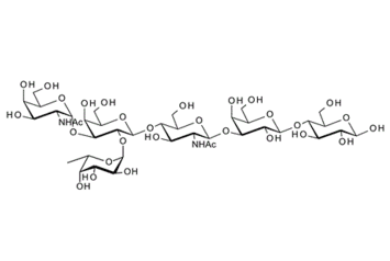GalNAca-3(fuca-2)Galb-4GlcNAcb-3Galb-4Glc; A antigen hexaose type 2 ; Blood group A hexasaccharide type II