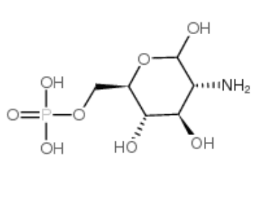 D-Glucosamine 6-phosphate, GLCN-6-p, CAS:3616-42-0