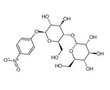4-Nitrophenyl-beta-D-maltopyranoside