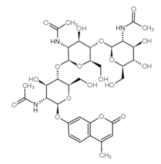 4-Methylumbelliferyl-N,N',N''-triacetyl-beta-chitotrioside