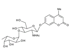 4-Methylumbelliferyl2-acetamido-2-deoxy-3-O-(a-L-fucopyranosyl)-b-D-glucopyranoside