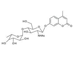 4-Methylumbelliferyl2-acetamido-2-deoxy-4-O-(a-L-fucopyranosyl)-b-D-glucopyranoside