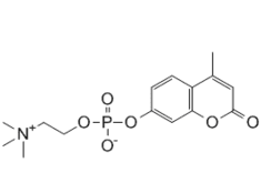 4-MethylumbelliferylPhosphocholine