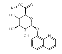 8-Hydroxyquinolineglucuronide