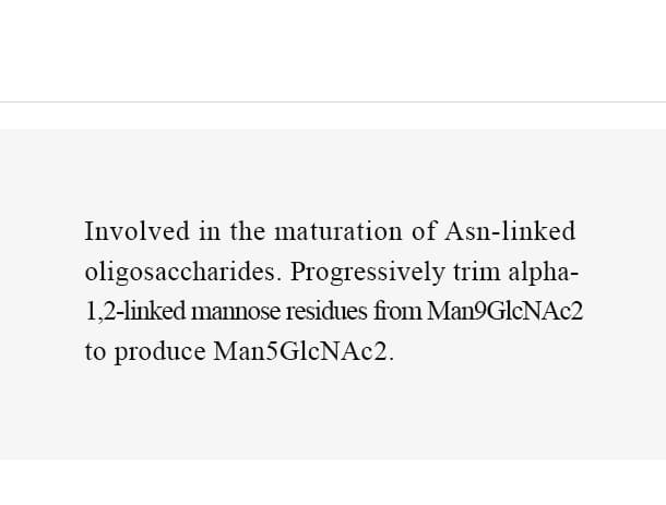 MAN1A1