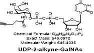 UDP -2-alkyne-GalNAc