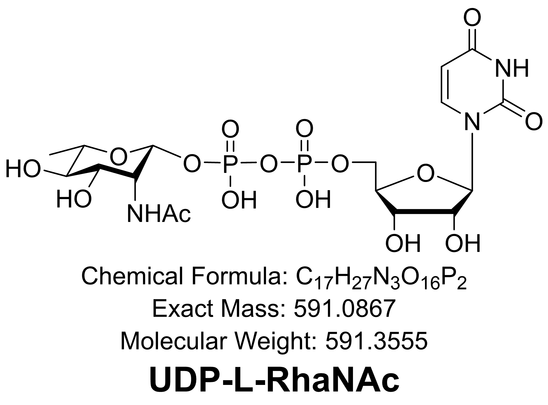 UDP-L-RhaNAc