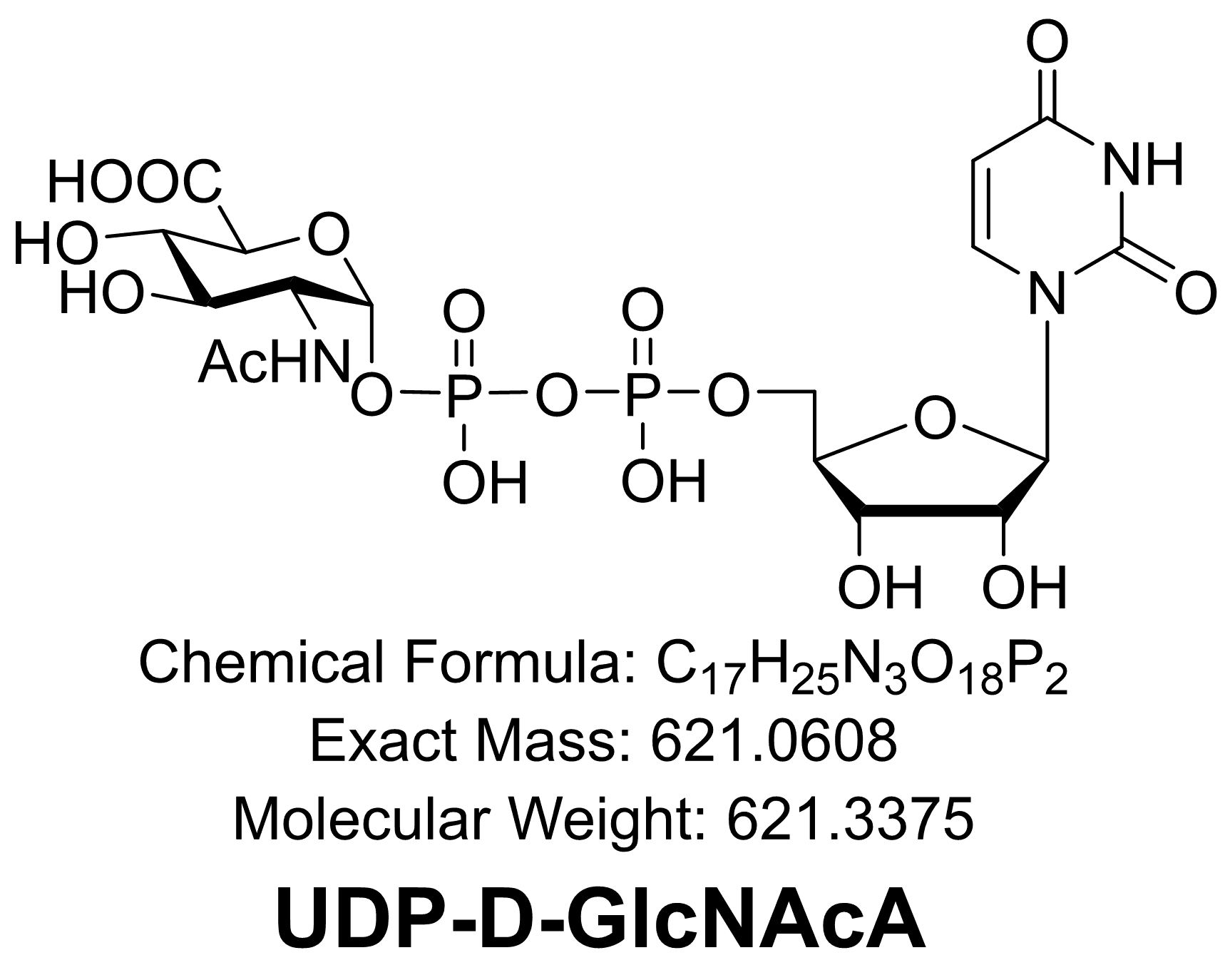 UDP-D-GlcNAcA
