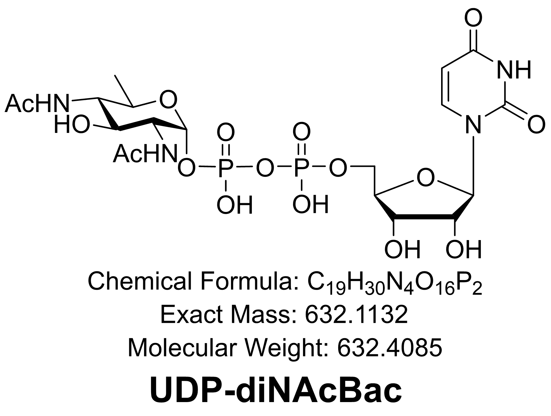 UDP-diNAcBac