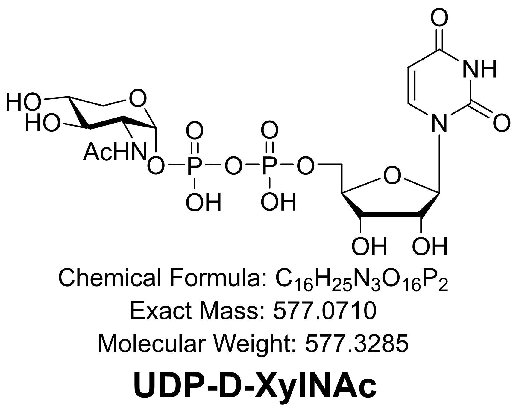UDP-D-XylNAc