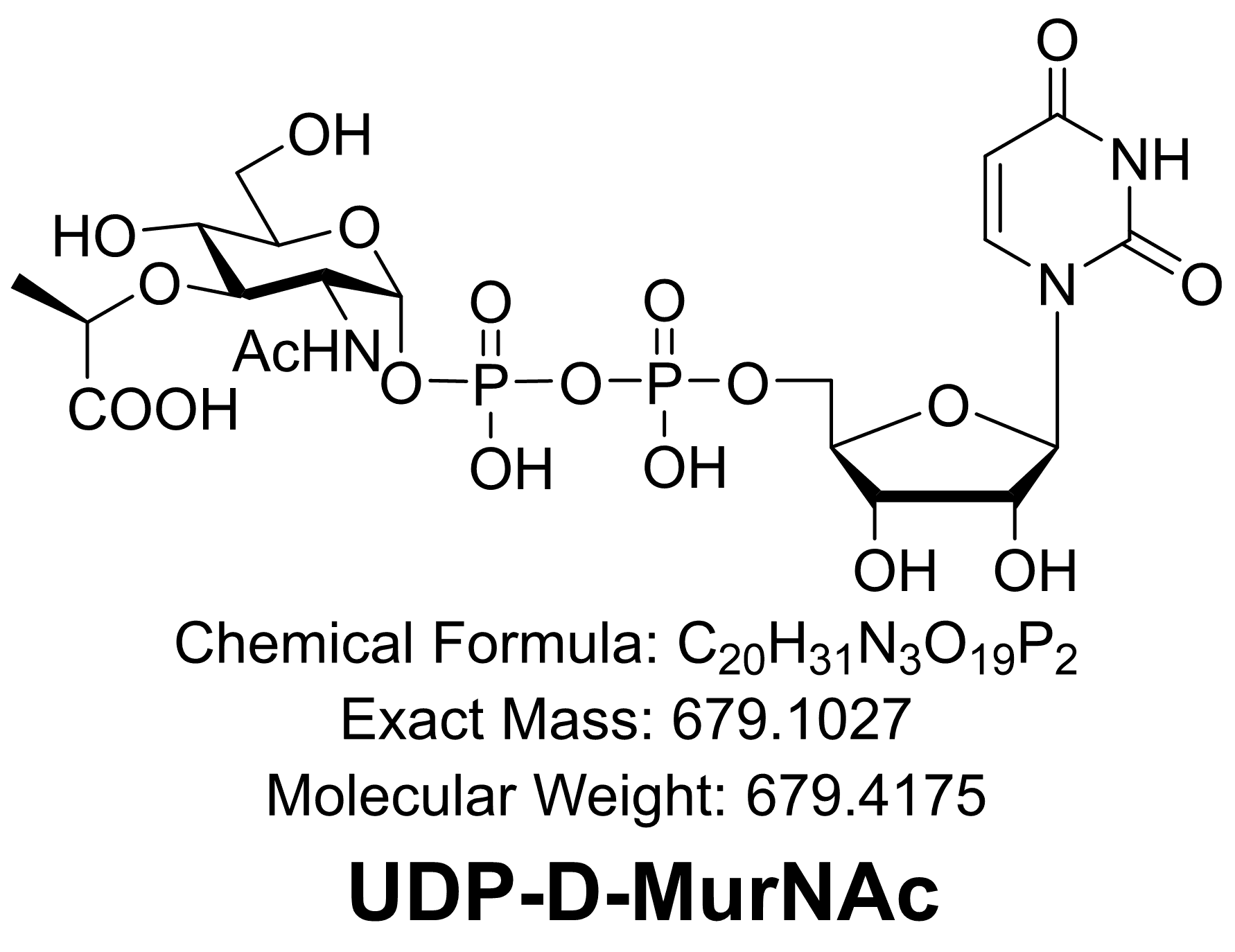 UDP-D-MurNAc