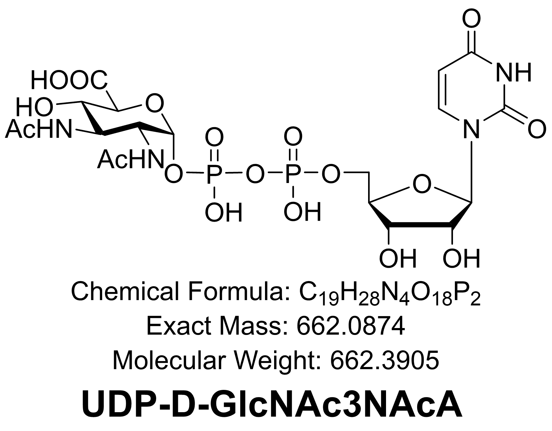 UDP-D-GlcNAc3NAcA