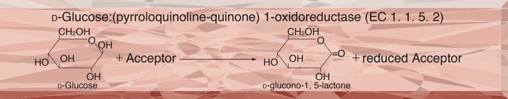 GLUCOSE DEHYDROGENASE (PQQ-dependent) from Microorganism
