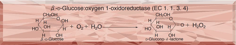 GLUCOSE OXIDASE from Aspergillus sp.