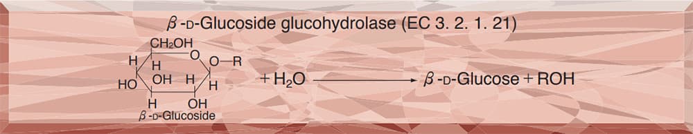 β-GLUCOSIDASE from Sweet almond