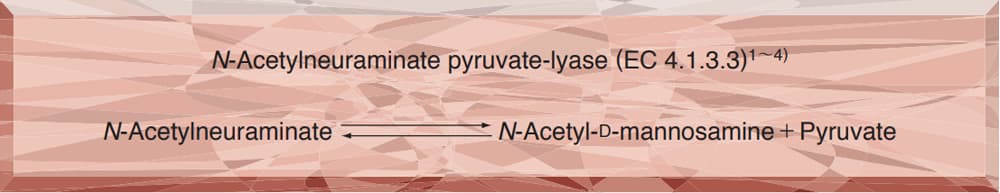 N-ACETYLNEURAMINIC ACID ALDOLASE from Microorganism