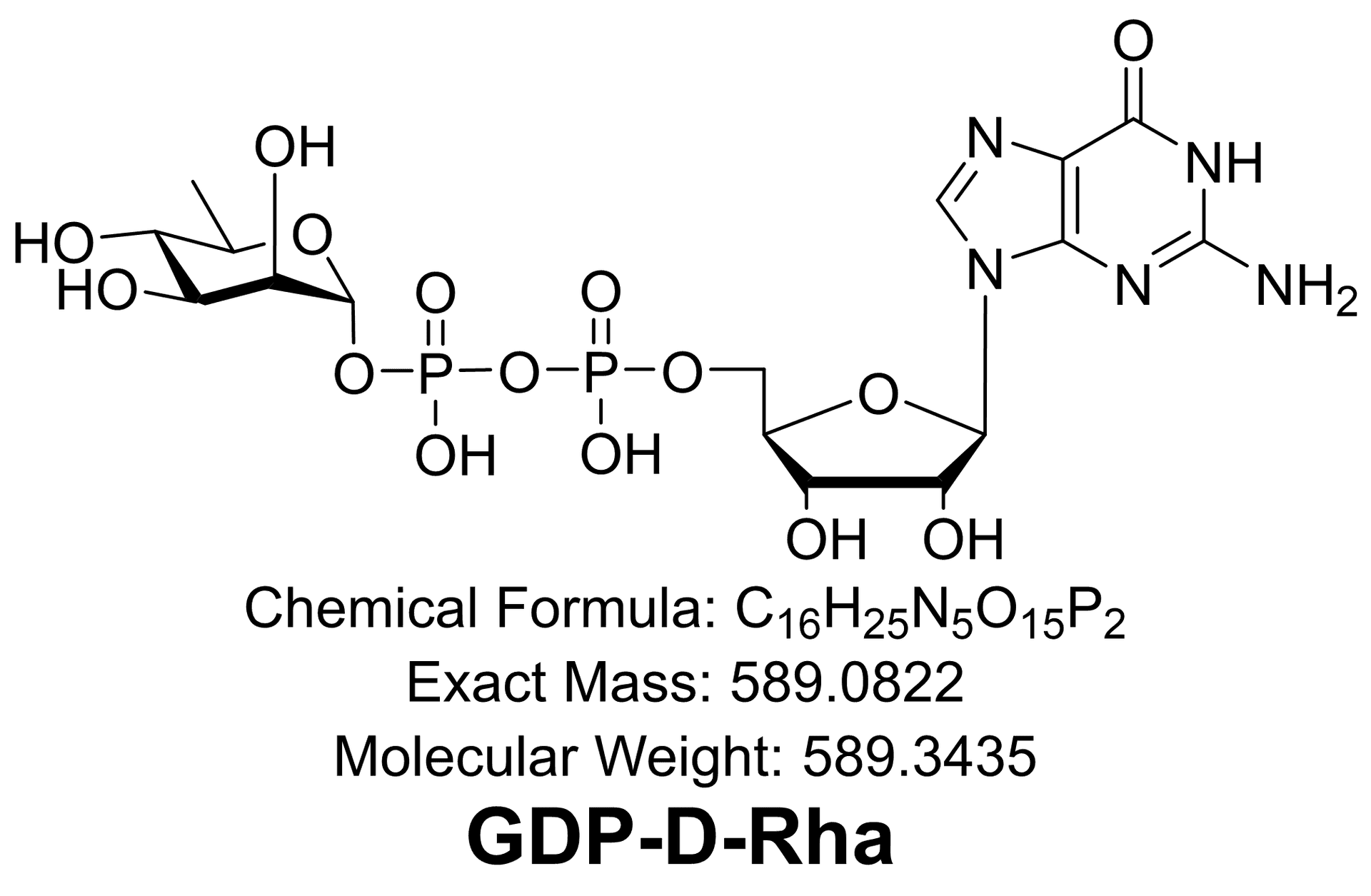 GDP-D-Rha