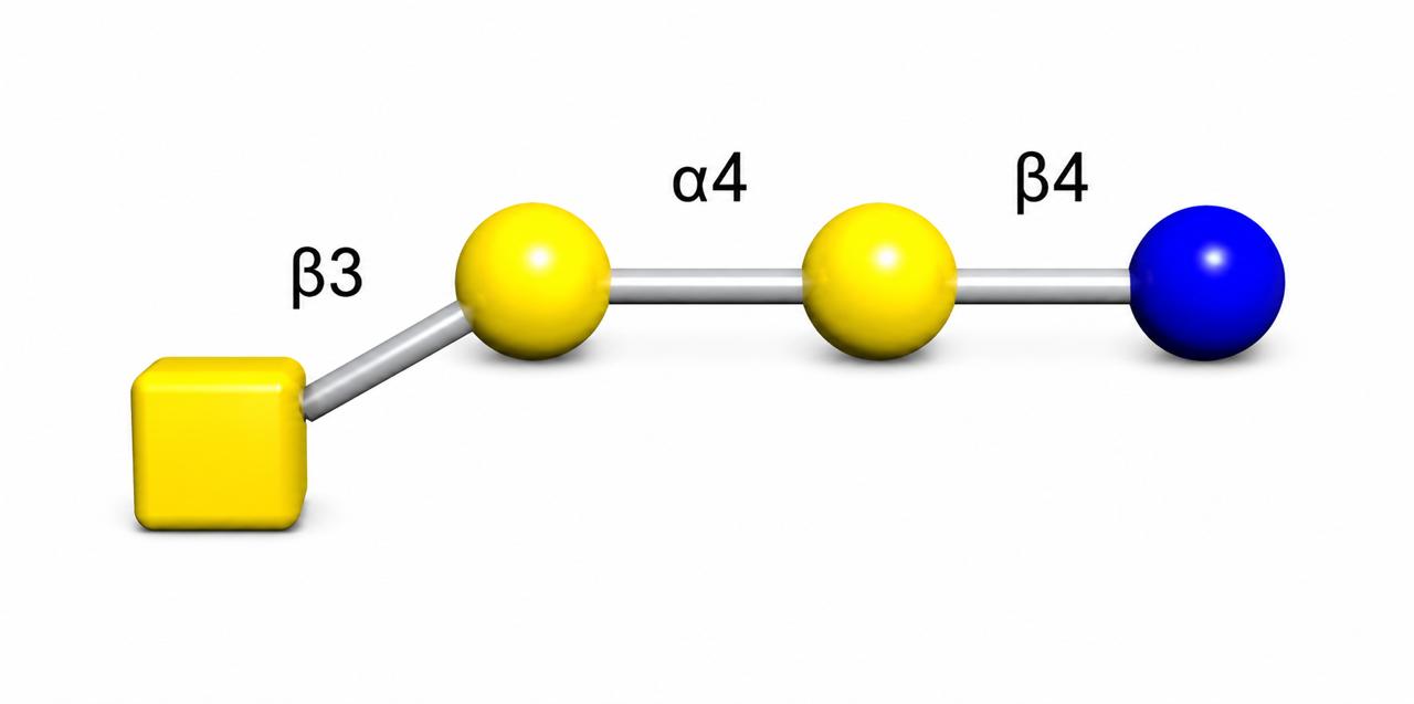 Glycoscience product image 13