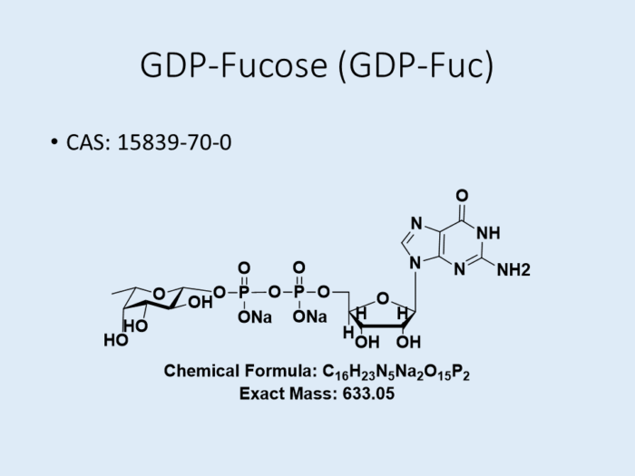 gdp-fucose