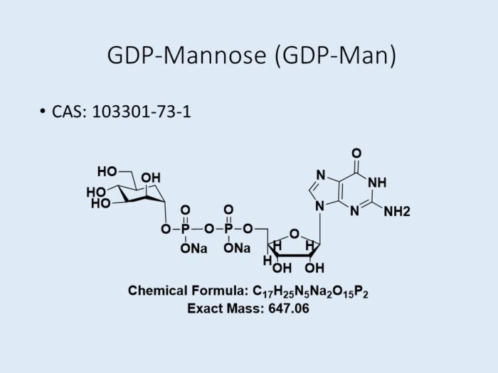 gdp-mannose