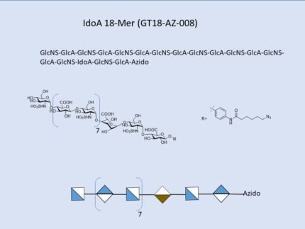 GT18 AZ 008 1