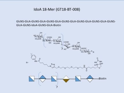 GT18 BT 008 1