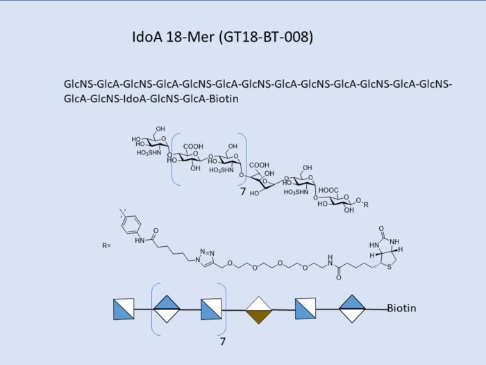 GT18 BT 008 1