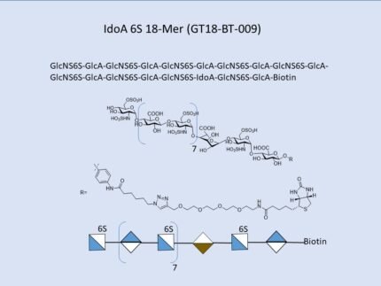 GT18 BT 009 1