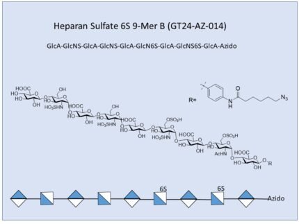 GT24 AZ 014 1