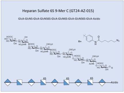 GT24 AZ 015 1