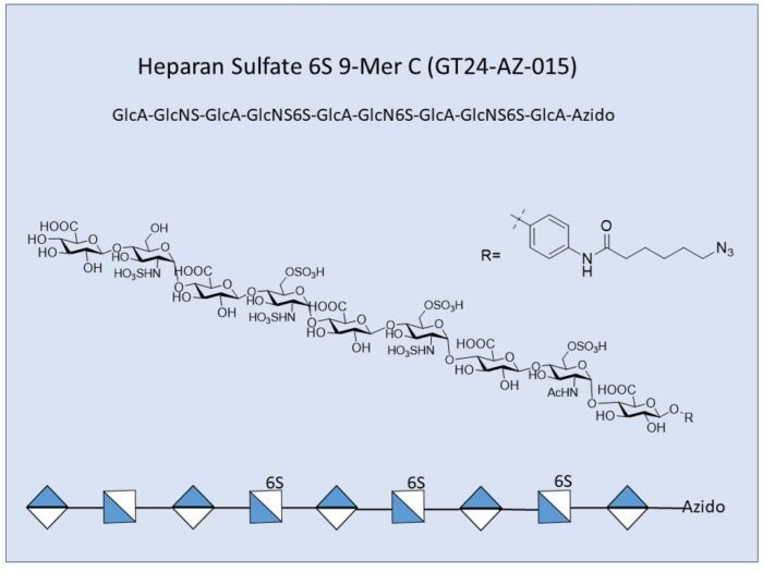 gt24-az-015