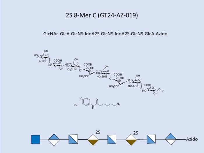 gt24-az-019