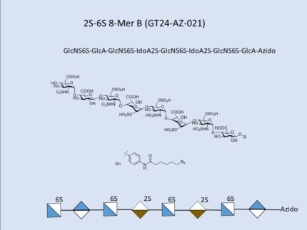GT24 AZ 021 1