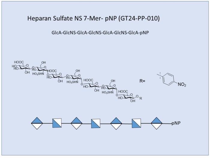 gt24-pp-010