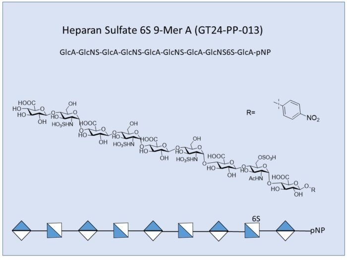 gt24-pp-013