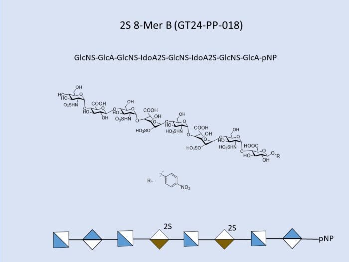 gt24-pp-018