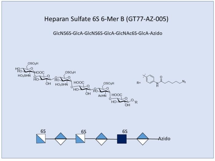 GT77 AZ 005 1