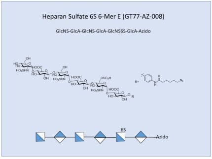 GT77 AZ 008 1