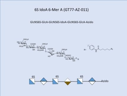 GT77 AZ 011 1