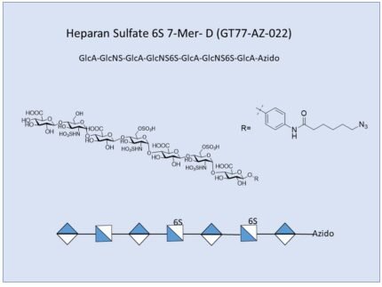 GT77 AZ 022 1