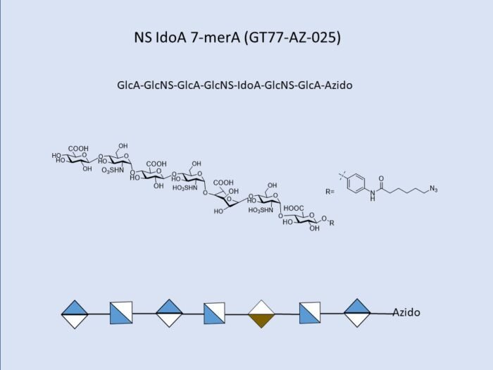 GT77 AZ 025 1