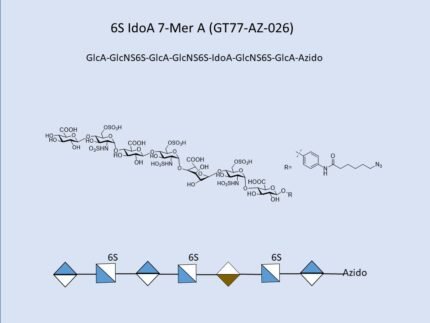 GT77 AZ 026 1