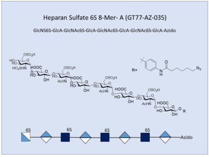 GT77 AZ 035 1