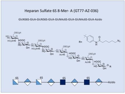 GT77 AZ 036 1