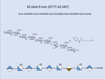 GT77 AZ 067 1
